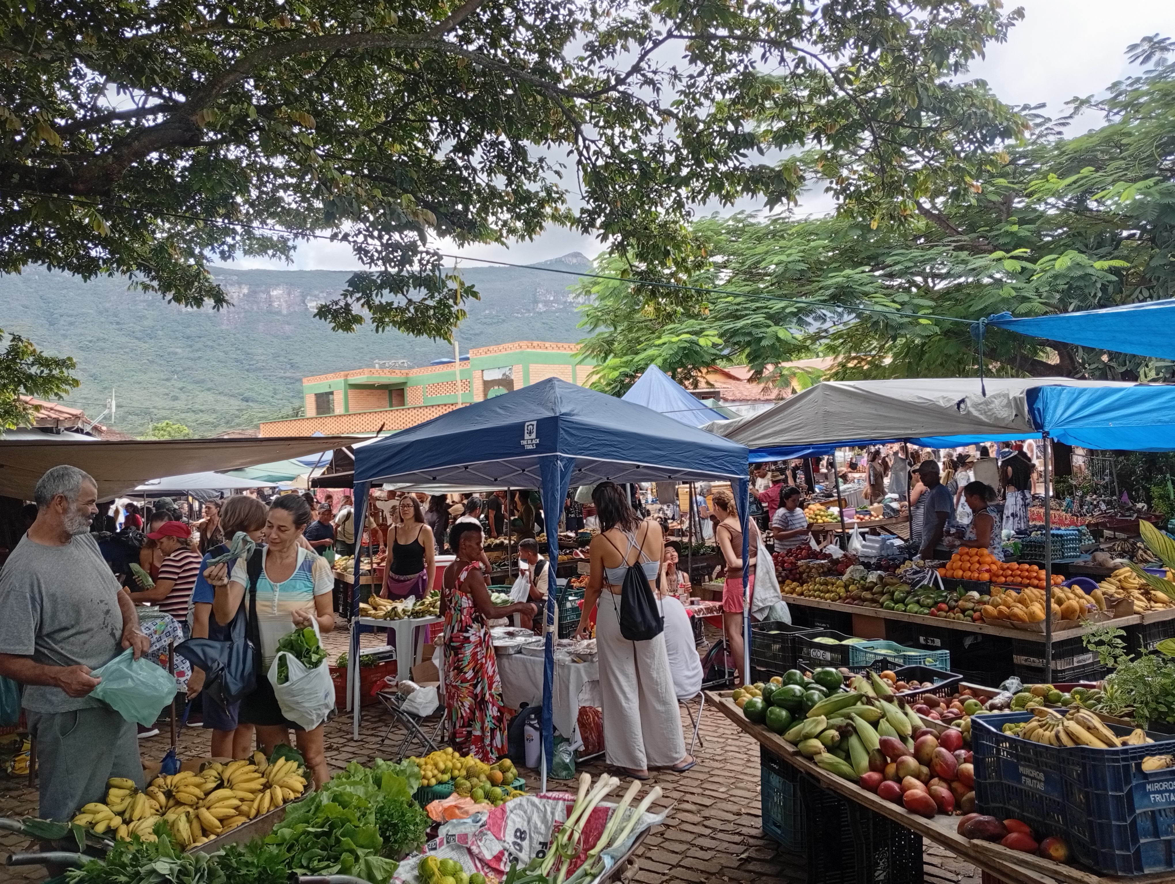 Feira do Capão 3