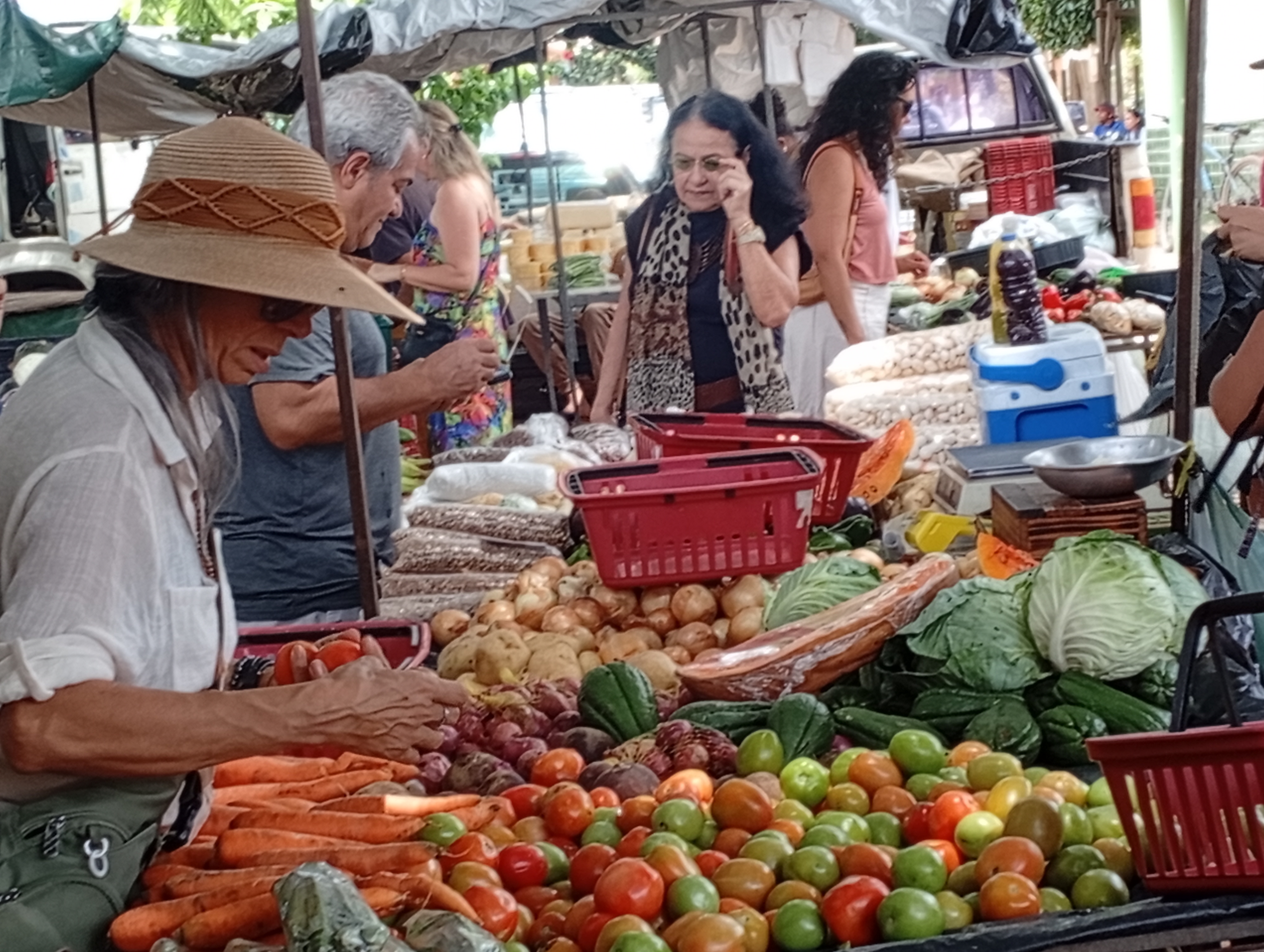 Feira do Capão 6