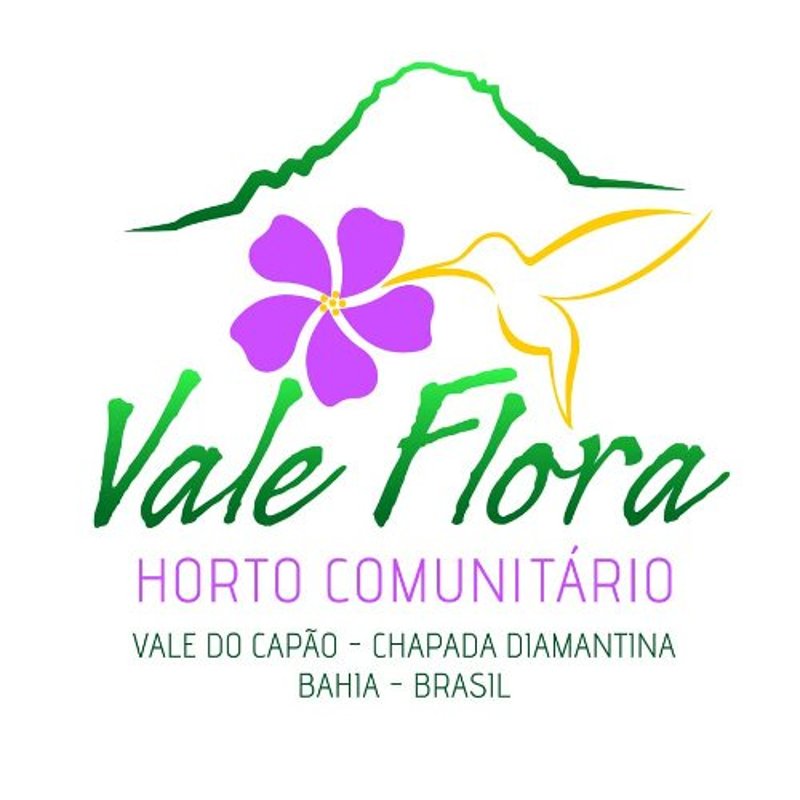 Horto comunitário no Vale do Capão revela prática ambiental além do discurso